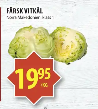 Färsk vitkål