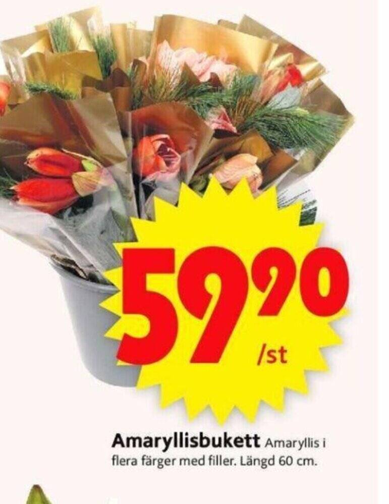 ICA Supermarket Amaryllisbukett erbjuda