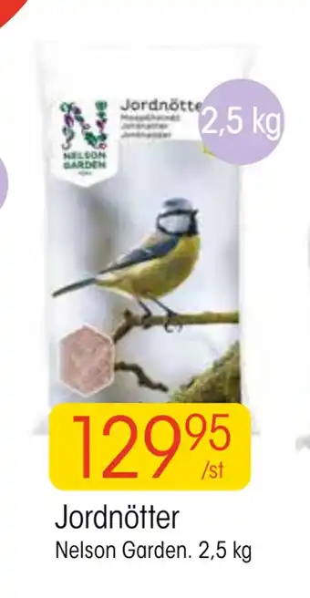 Jordnötter