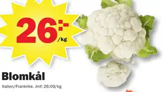 Pekås Blomkål erbjuda