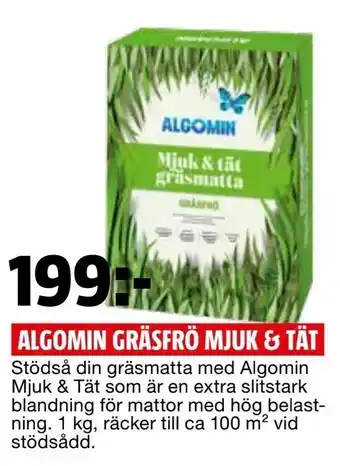 Bauhaus Algomin gräsfrö mjuk & tät erbjuda