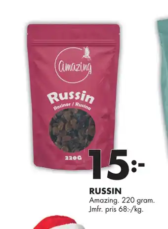 ÖoB Russin erbjuda