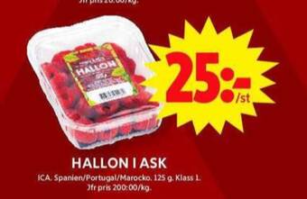 ICA Maxi Ica hallon erbjuda