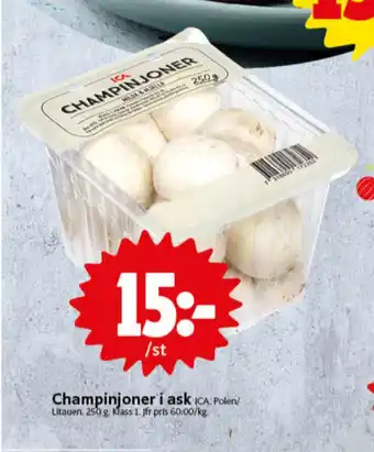 ICA Nära Ica champinjoner erbjuda