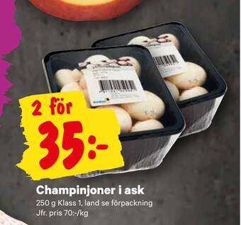 City Gross Champinjoner i ask erbjuda