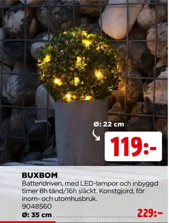 Jem&Fix Buxbom erbjuda