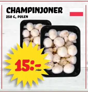 Nelins Champinjoner erbjuda
