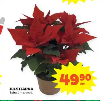 Coop Forum Julstjärna erbjuda