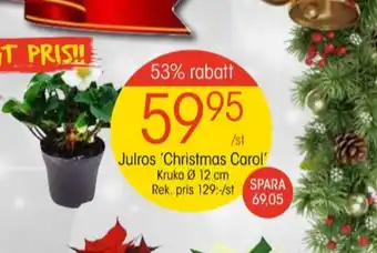 EKO Comfort krukväxt erbjuda