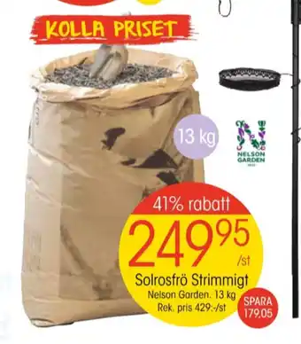 EKO Nelson garden solrosfrön erbjuda