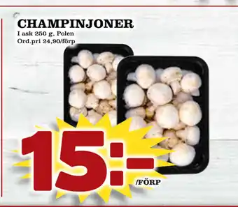 Din Mat Champinjoner erbjuda