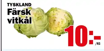 Matdax Färsk vitkål erbjuda