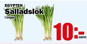 Matdax Salladslök erbjuda