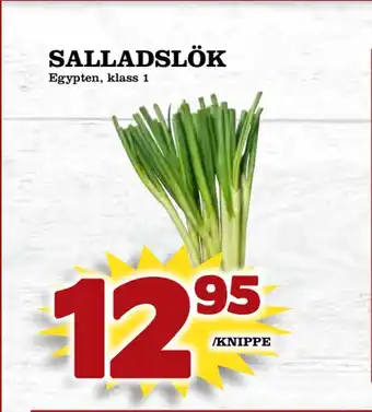 Supergrossen Salladslök erbjuda