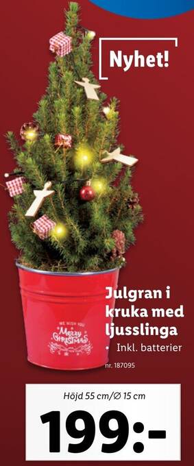 Lidl Julgran i kruka med ljusslinga erbjuda
