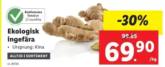 Lidl Ekologisk ingefära erbjuda