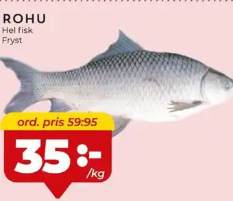 ROHU Hel fisk Fryst