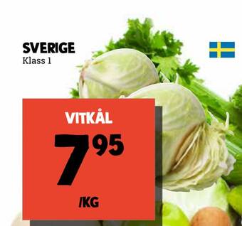 MatArket Vitkål erbjuda