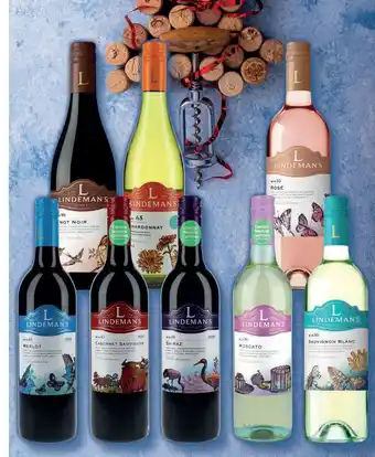 Nielsen Discount Lindeman‘s bin erbjuda