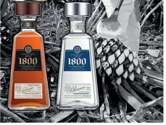 Tequila