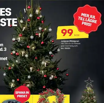 Byggmax Julgran/rödgran erbjuda