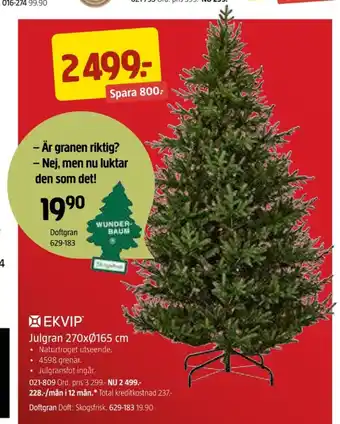 Jula Ekvip julgran erbjuda