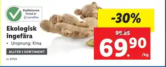 Lidl Ekologisk ingefära erbjuda