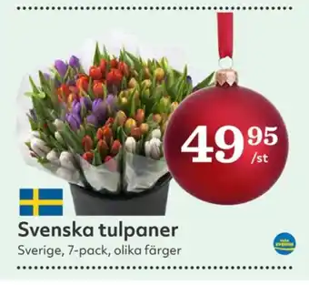 Hemköp Sun blommor erbjuda