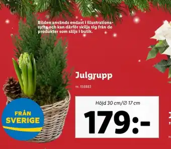 Lidl Crelando krukväxt erbjuda