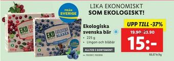 Ekologiska svenska bär