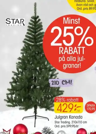 EKO Star trading julgran erbjuda