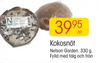 EKO Nelson garden fågelmat erbjuda