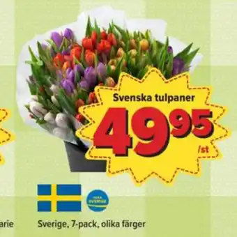 Östenssons Nature choise blommor erbjuda