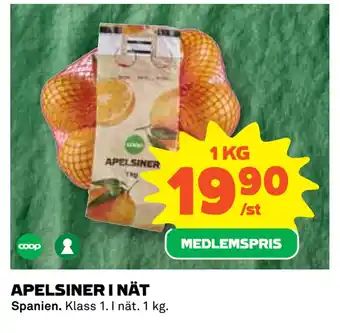 Apelsiner i nät