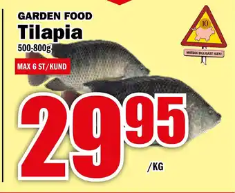 Matdax Tilapia erbjuda