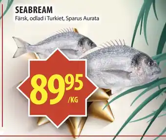 Matvärlden Tensta Seabream erbjuda