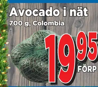 Supergrossen Avocado i nät erbjuda