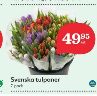 Hemköp Blommor erbjuda