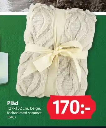 DollarStore Pläd erbjuda