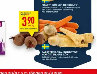Palsternackor