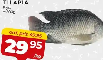 Matrix Butikerna TILAPIA erbjuda