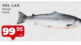 Matrix Butikerna HEL LAX Norge Färsk erbjuda