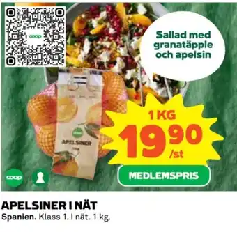 APELSINER I NÄT