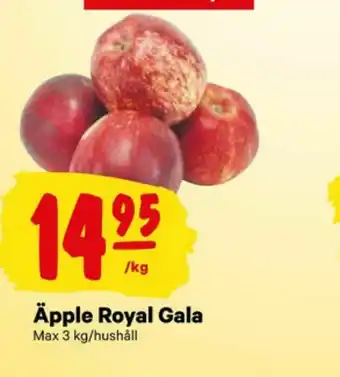 City Gross Äpplen erbjuda