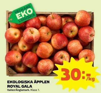 Coop Forum Ekologiska äpplen royal gala erbjuda