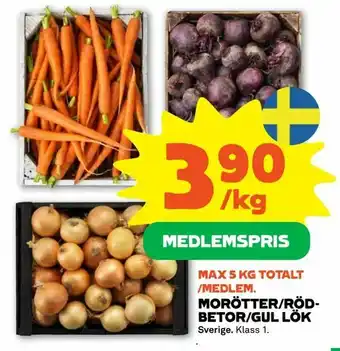 Morötter/rödbetor/gul lök