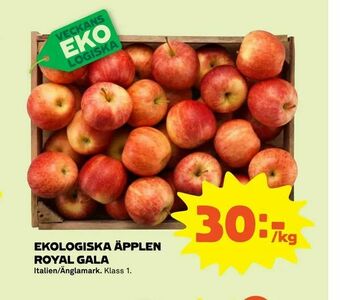 Stora Coop Ekologiska äpplen royal gala erbjuda