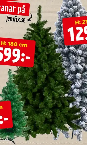 Jem&Fix Julgran erbjuda