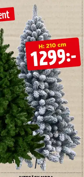 Jem&Fix Julgran erbjuda