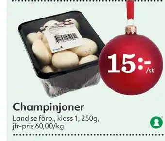 Hemköp Champinjoner erbjuda